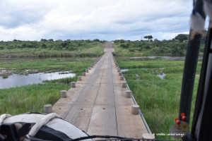 Brücke im Kruger NP